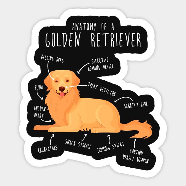 Anatomy of a Golden Retriever Sticker by Psitta